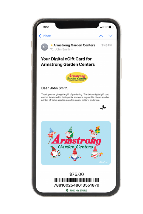 Digital Gnome Christmas Magic eGift Card