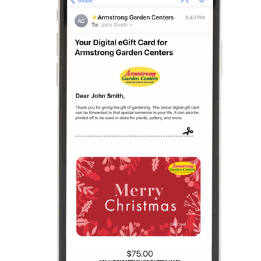 Digital Merry Christmas eGift Card