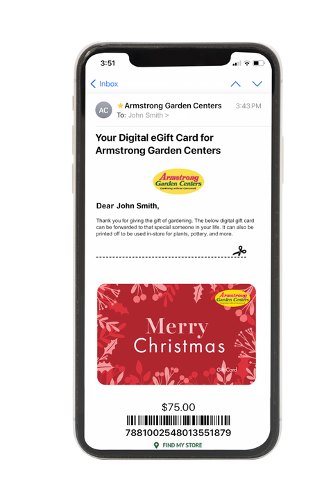 Digital Merry Christmas eGift Card