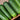 Cucumber Homemade Pickles