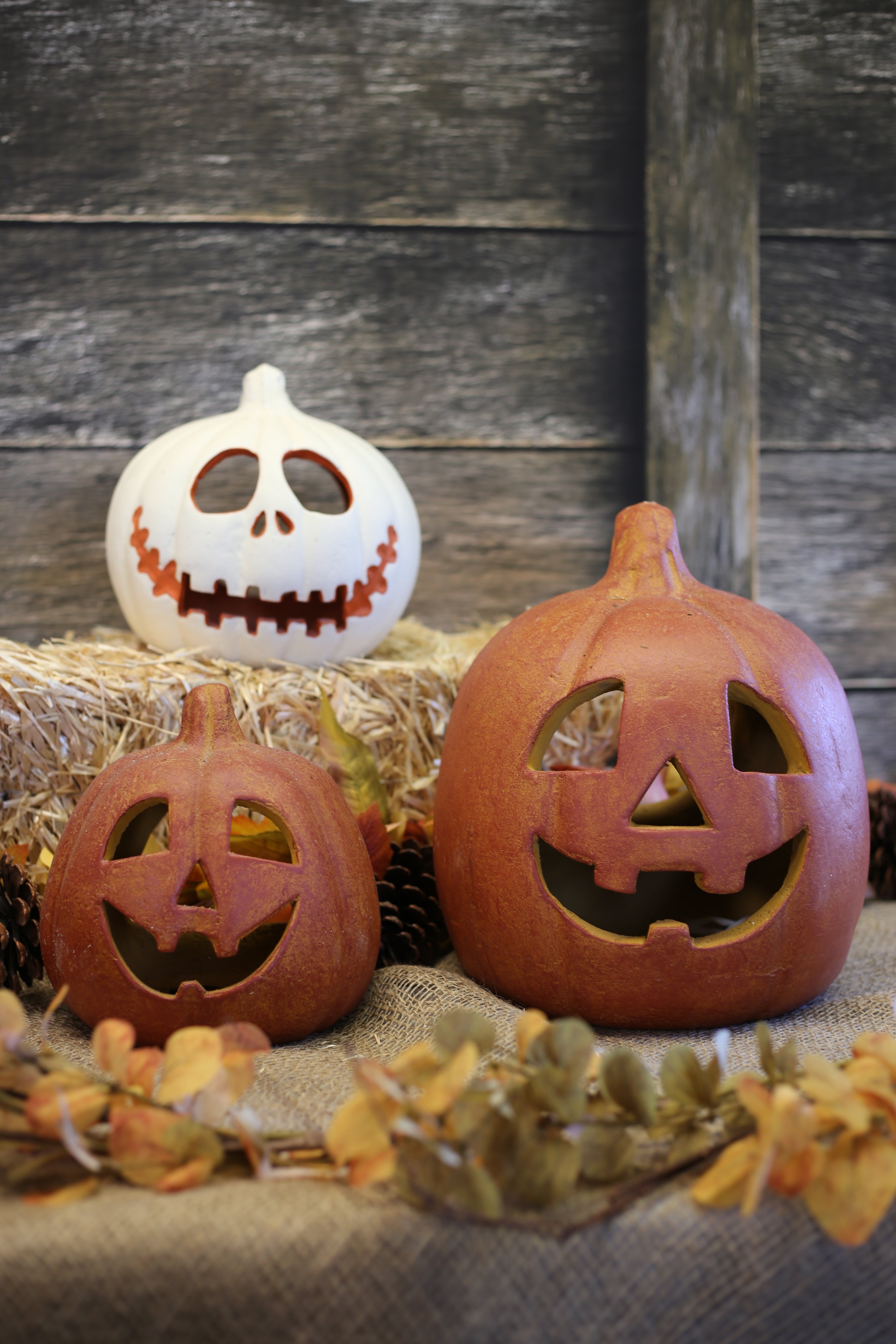 Jack the Orange Clay Pumpkin - Thumbnail 5