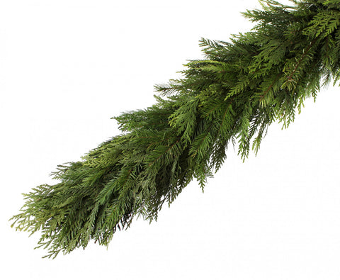 Fresh Garland - 1ft