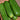 Cucumber Muncher Persian