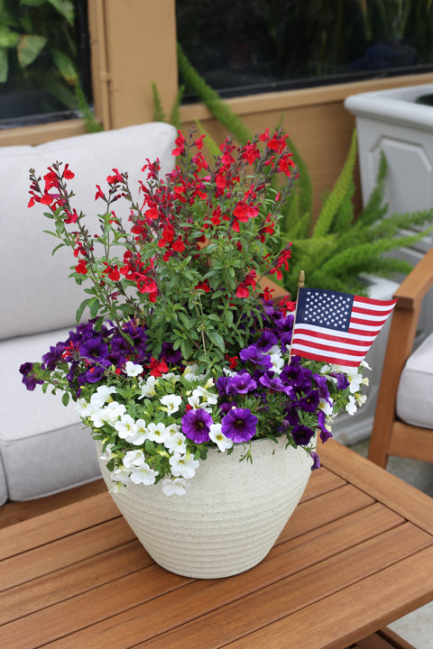 Angelonia & Calibrachoa Patriotic Combo Planter