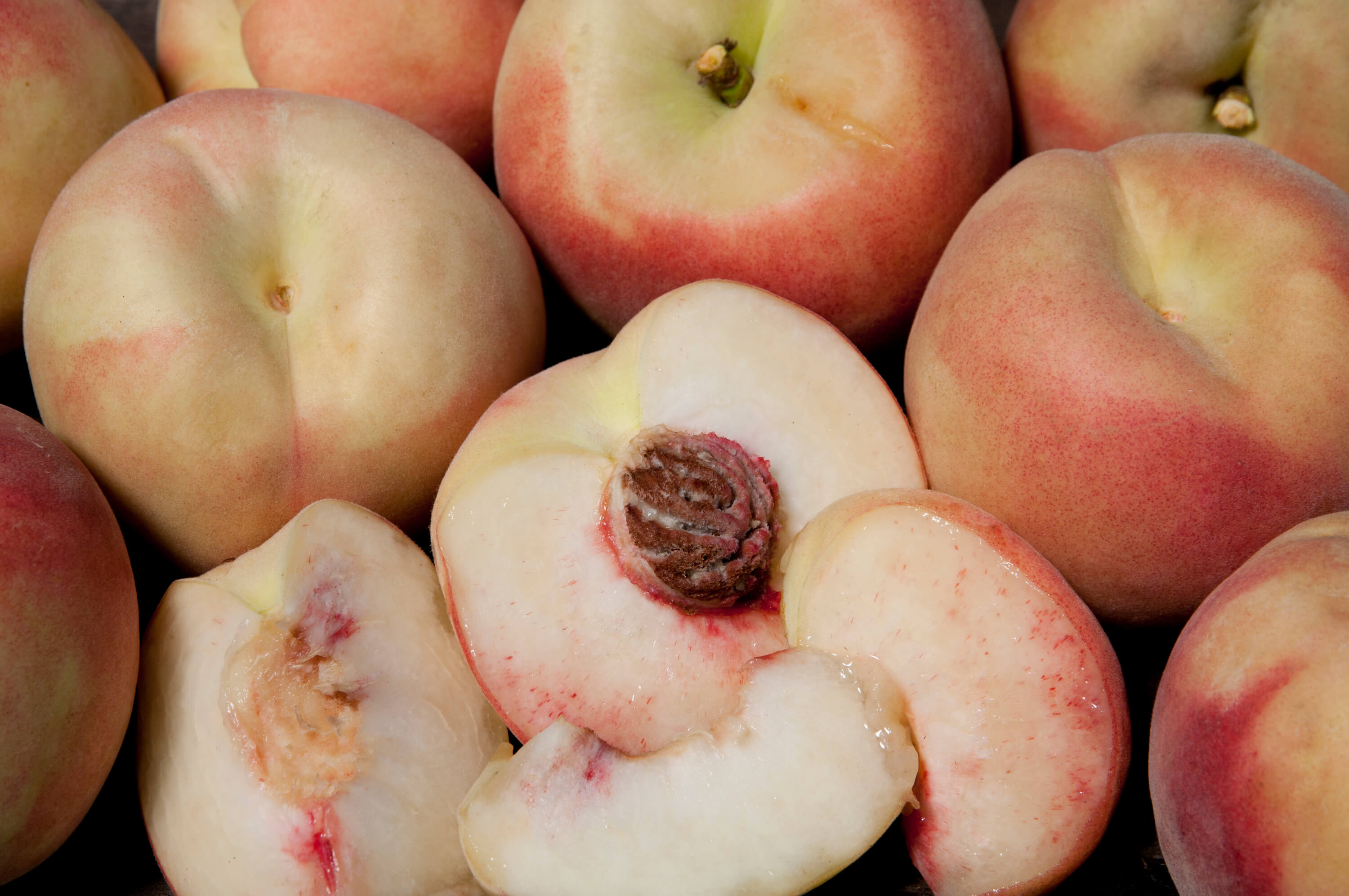 Tropic Snow White Peach