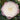 Nuccio's Pearl Camellia - Monrovia