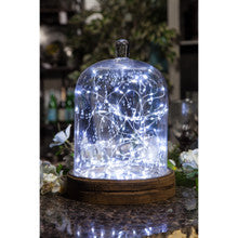 5Ft LED Micro Silver String of lights