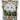 Amaryllis White Christmas Boxed Kit