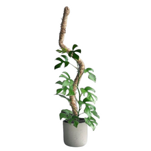 Bendable Moss Pole
