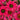 Kismet® Raspberry Coneflower - Monrovia