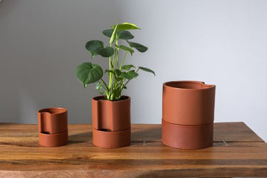 Jett Terracotta Pot 6"x 7"