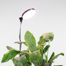 LED Adjustable Plant Light