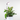 LED Adjustable Plant Light