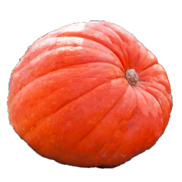 Orange Big Mac Pumpkin