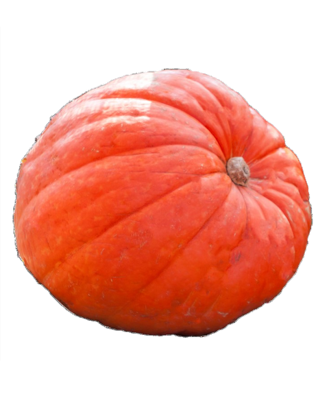 Orange Big Mac Pumpkin