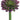 Faux Soft Touch Echeveria Pick Plum - 4 inch