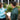 Garden Consultation Service