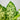 Dieffenbachia Compacta