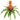 Faux Bromeliad Spray Orange Flame - 21 inch