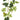 Faux Berry Spray Green - 41 inch