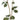Faux Dahlia Spray Pink/Cream - 31 inch