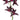 Faux Cymbidium Orchid Spray Plum - 38 inch