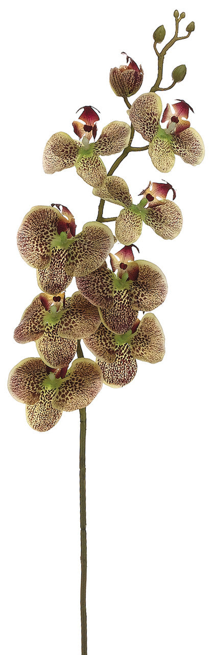 Faux Phalaenopsis Orchid Spray Green/Burgundy - 40 inch