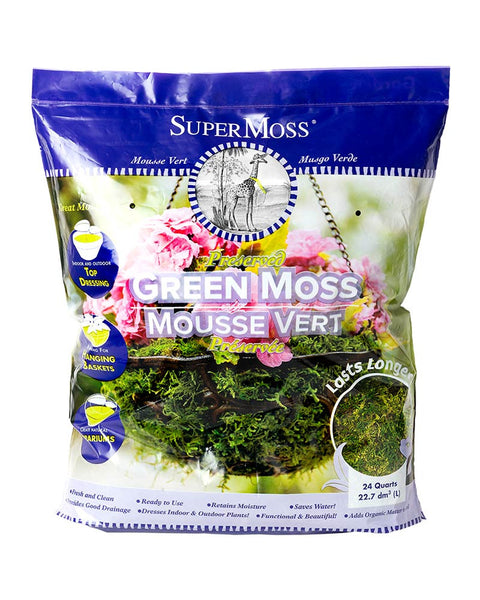SuperMoss Forest Moss Preserved Fresh Green - 24qt – Armstrong
