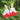 Hot Lips Sage