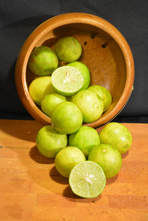 Mexican Lime Semi Dwarf