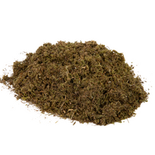 Growable Moss for Shade