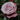 Barbra Streisand® Rose