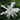Frost Proof Hardy Gardenia