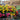 Seasonal Combination Hanging Basket - 12 inch