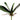 Faux Phalaenopsis Orchid Leaf Plant Green - 8 inch