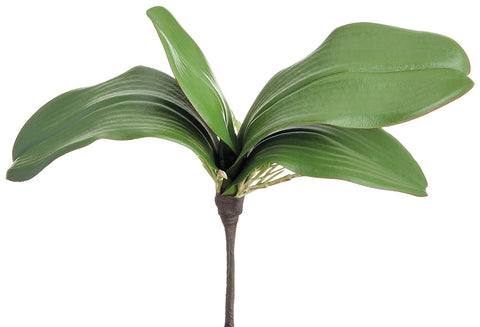 Faux Soft Phalaenopsis Orchid Leaf Plant - 10 inch