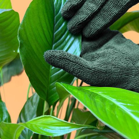 We The Wild Houseplant Leaf Cleaning Gloves