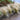 Mexican Feather Grass