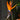 Orange Bird Of Paradise