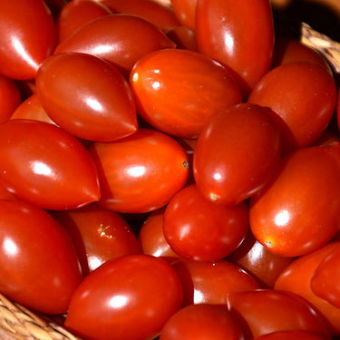 Juliet Tomato