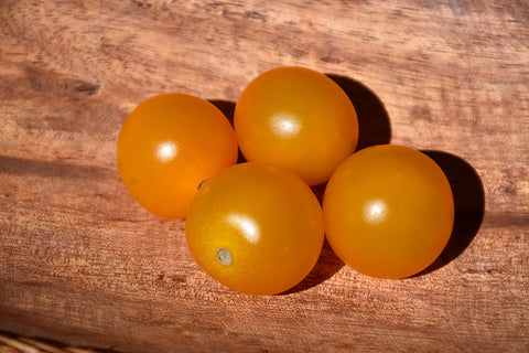 Sungold Tomato