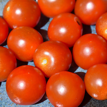 Super Sweet 100 Tomato