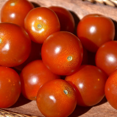 Sweet Million Tomato