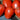 Amish Paste Tomato