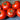 Patio Tomato