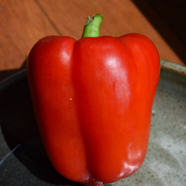Better Belle Pepper