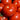 Heirloom Stupice Tomato