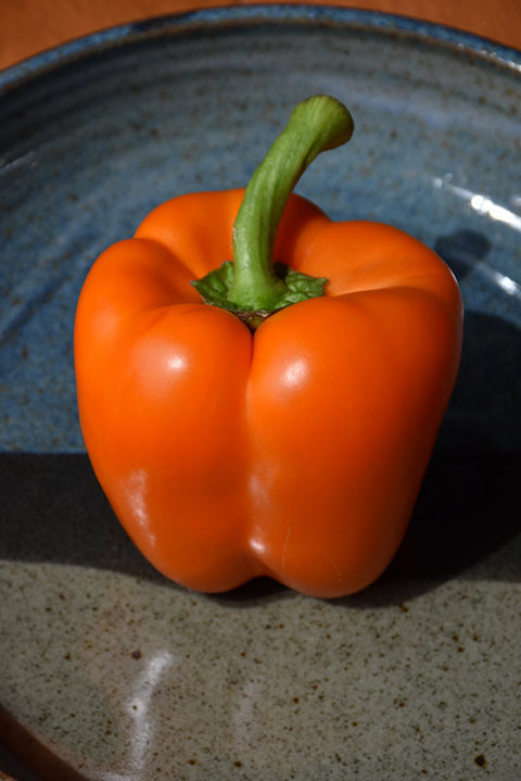 Gourmet Orange Bell Pepper