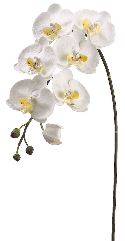 Faux Large Phalaenopsis Orchid Spray White/Yellow - 36 inch