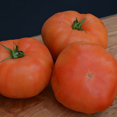 Classic Beefsteak Tomato